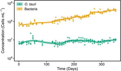Long-Term Stability of Bacterial Associations in a Microcosm of Ostreococcus tauri (Chlorophyta, Mamiellophyceae)